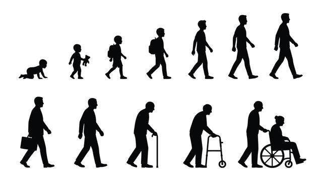 Detailed vector illustration showing the human life cycle stages from infancy to old age silhouette set