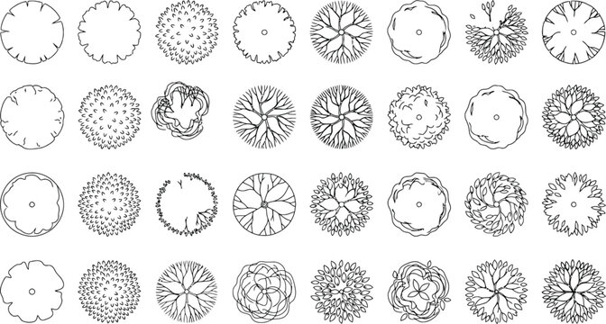 Top view tree canopy CAD vector set, architectural vegetation symbols with foliage textures and crown patterns for landscape plans, site design and urban masterplans