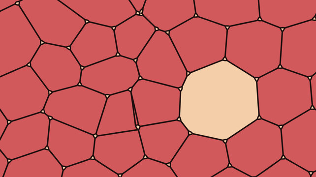 Voronoi diagram with irregular polygonal cells in shades of red and a single pale cell geometric pattern tessellation fractal mathematical