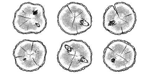 Set of hand drawn tree trunk cross section circles with wood grain rings and bark texture © md