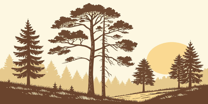 Hand drawn vector illustration of a forest landscape with pine trees a dirt path a setting sun landscape illustration silhouette evergreen wilderness environment tranquil peaceful
