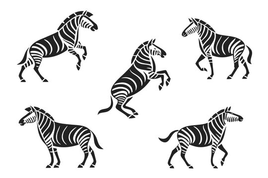 Five zebras running and standing in a line