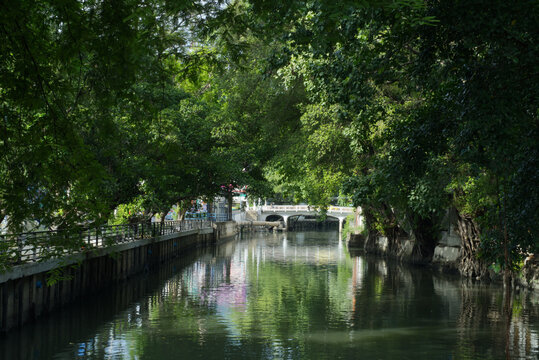 The large drainage canal is lined on both sides with big trees.
