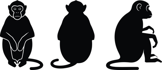 Set of three black monkey silhouettes in different poses for animal design projects © Milon Store