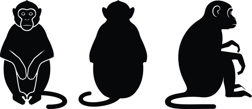 Set of three black monkey silhouettes in different poses for animal design projects
