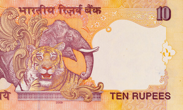10 Rupees of India with the image of an Elephant, Rhinoceros and Tiger. Paper money of India.