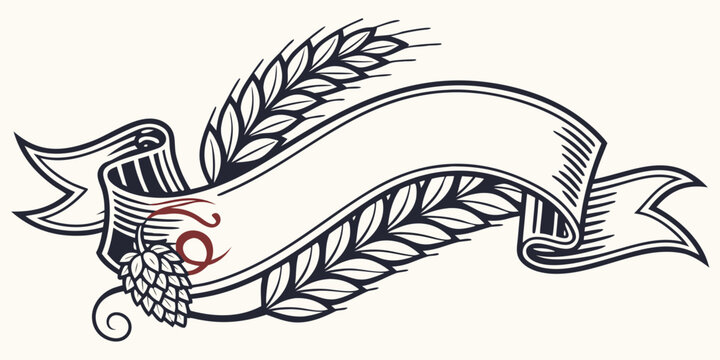 Blank vintage ribbon banner with barley ears and hops ornament illustration template agriculture monochrome isolated background traditional branding packaging