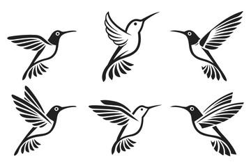 Naklejka premium Five hummingbirds flying in formation illustration
