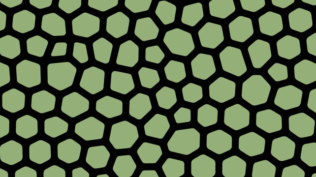 Irregular polygonal pattern with a light green and black color scheme creating a tessellated surface abstract background design geometric illustration