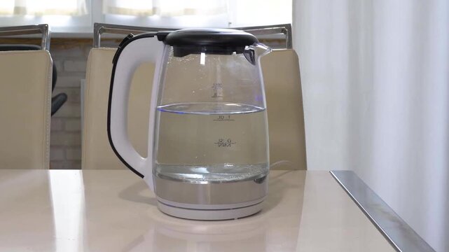 Heating water in a transparent electric kettle. Boiling water in an electric kettle.