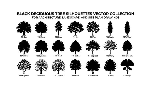 Black Deciduous Tree Silhouettes Vector Collection for Architecture Landscape and Site Plan Drawings