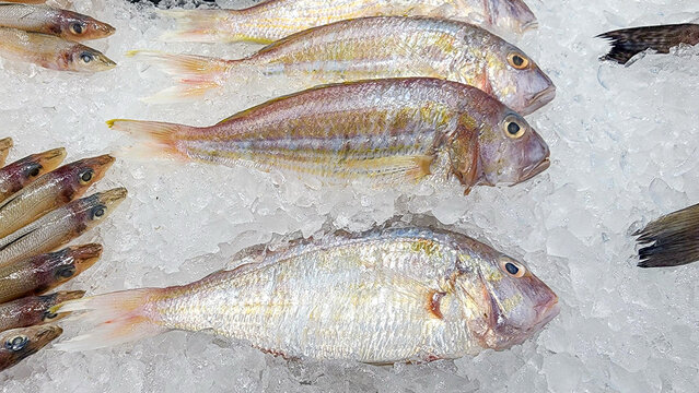 Fresh threadfin bream with pink-silver scales and yellow stripes on crushed ice at a supermarket seafood counter.