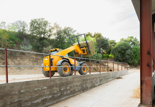 Telehandler carrying hay bale for agriculture farming