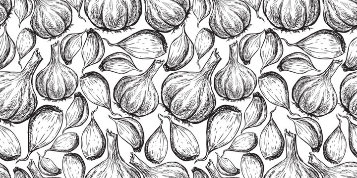 Ripe garlic vegetable sketches seamless pattern, vector food background, wallpaper, black and white hand drawings