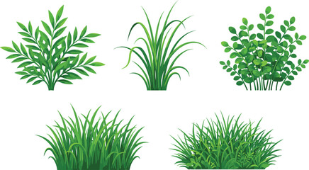 Vector illustration of cartoon plants and grasses with diverse leaf shapes representing botany, landscaping, and ecology themes © Creative Stoker