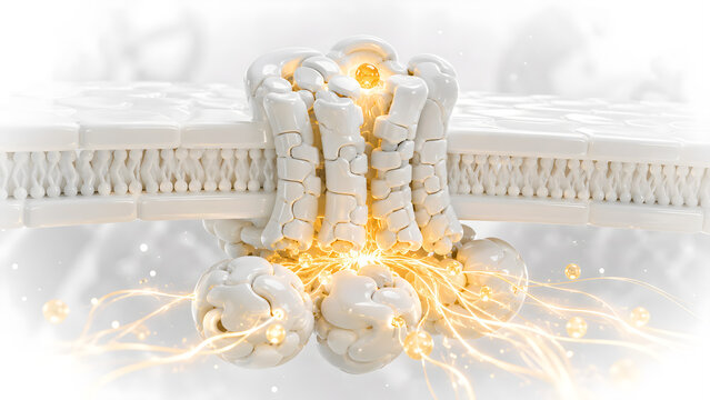 GPCR Activation and G-Protein Membrane Receptor Signaling, Conceptual 3D Rendering Ethereal Bio-Ceramic Style, Abstract Medical Illustration