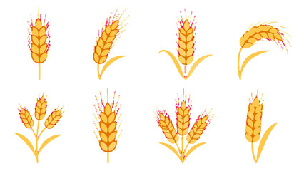 Obraz premium Set of stylized wheat ears isolated on white background