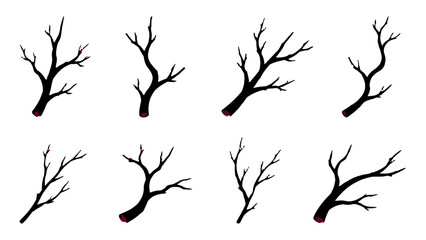 Fototapeta premium Set of bare tree branches isolated on white background
