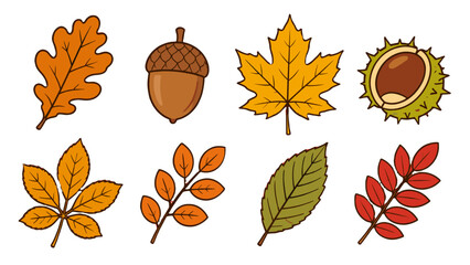 Set of autumn leaves, acorn and chestnut vector icons © icon_art