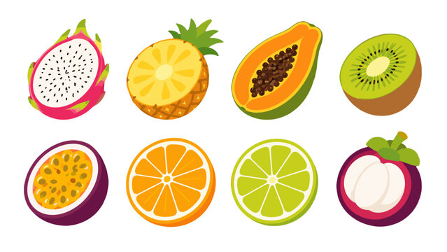 Set of tropical fruit halves and slices in colorful vector style