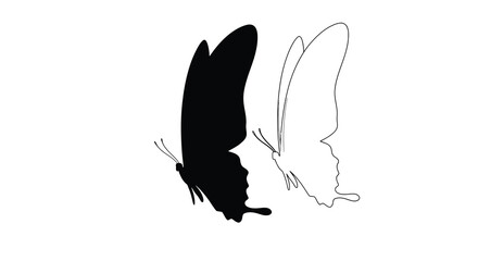 Butterfly Silhouette And Outline On White Background Silhouette © MD RIPON