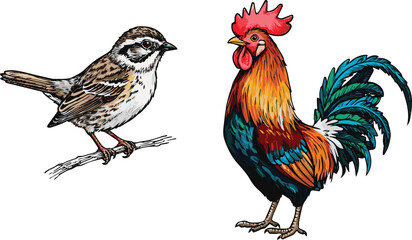 Generated on Sparrow and Rooster Bird Illustration Set with Domestic and Wild Avian Species Collection for Farm, Wildlife, Nature on white background © MdMasud