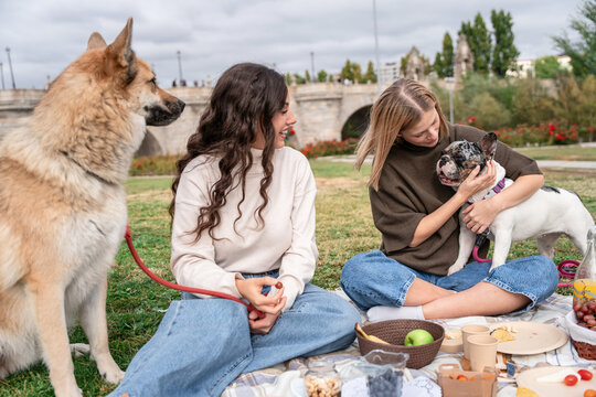 Friends enjoy park picnic while cuddling pet dog outdoors