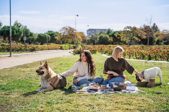 Women enjoy picnic with pet dog on sunny park lawn