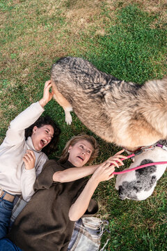 Playful dog knocks over laughing friend on grassy lawn