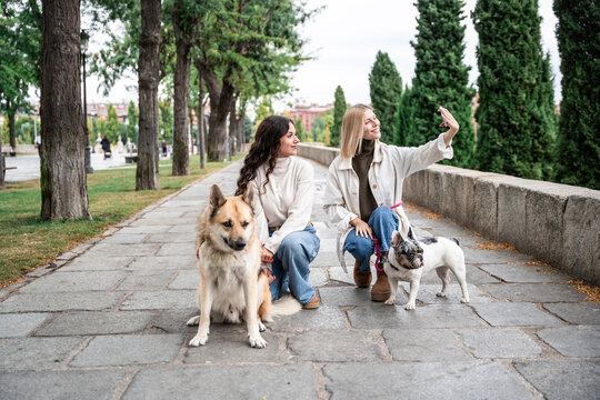 Two women taking selfie with dog on tree lined walkway