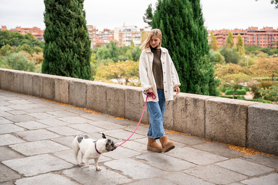 Young woman walking french bulldog on city promenade