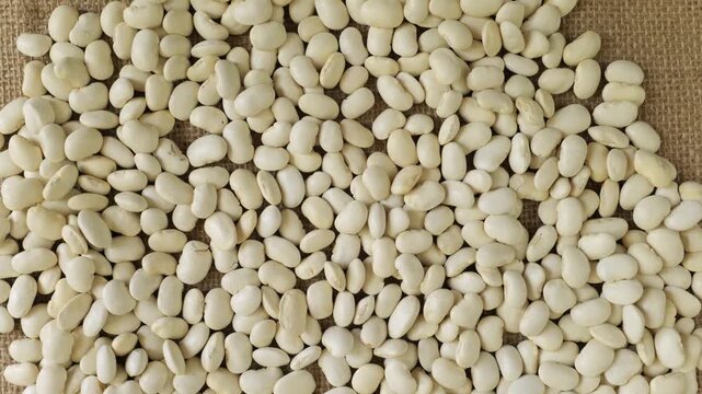 Dry white beans rotating slowly onto burlap fabric