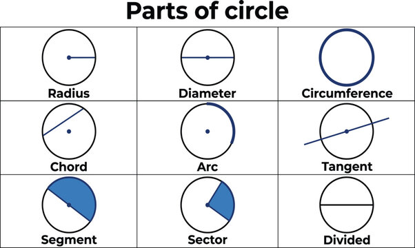 Mathematical geometry infographic chart for parts of a circle featuring diagrams and text labels for radius, diameter, circumference, chord, arc, tangent, segment, sector, and divided isolated