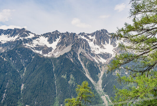 Snowy alpine mountains with forest and green larches