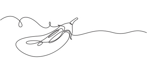 Fototapeta premium Continuous one line drawing of eggplant. continuous line draw of whole and sliced healthy organic eggplant for market. Continuous editable line drawing of eggplant, pro vector