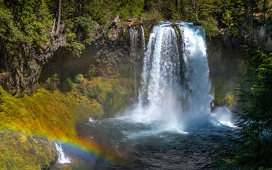 Obraz premium Koosah Falls on the McKenzie River in central Oregon