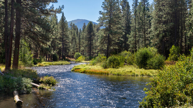 The Upper Metolus River and Black Butte in Central Oregon Near Camp Sherman