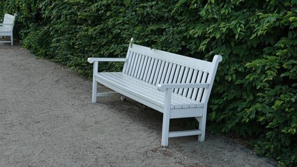 Tradycyjna biała ławka ogrodowa z oparciem i podłokietnikami ustawiona na żwirowej alejce w parku, wzdłuż gęstego, zielonego żywopłotu z liściastych krzewów w pogodny letni dzień © tomo81