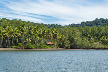 Fototapeta premium Remote tropical beach with palm trees and a hidden resort