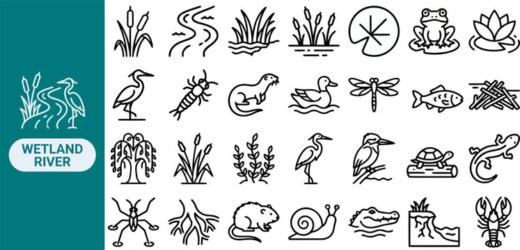 Riparian Ecosystem Swamp outline icon set. Featuring marsh grass, lotus, egret, water beetle, and cattail symbols. Editable stroke vector icons for environmental study and biodiversity research.