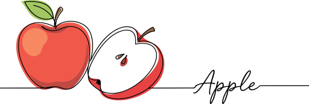 Continuous one line drawing of red apple fruit with cut half slice and script typography text minimalist fresh food vector banner illustration