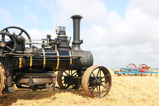 Vintage Steam Traction engine in a field	