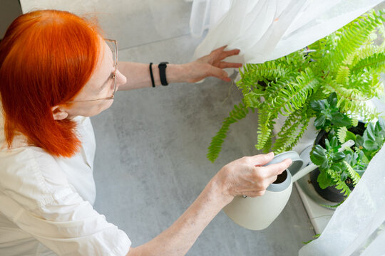 Overhead view of an elderly woman watering her potted plants on the windowsill using a watering can. The image highlights the action and her care for greenery. Grandmother engaged in gardening.