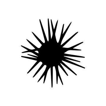 Spiky sea urchin icon