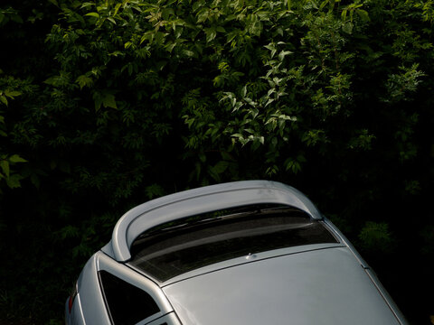 Top down view of a rear spoiler on a modern silver car parked against a dark green leafy background. Automotive tuning, design and transportation concept. Photo