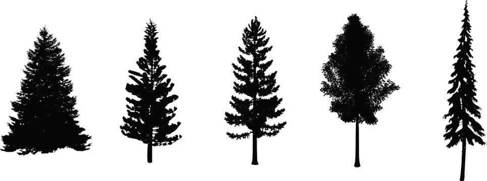 Tree silhouettes set with various conifers and deciduous trees