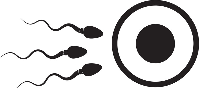 Minimalist black and white of sperm cells swimming towards an egg, representing reproduction and fertility for medical use also transparent background