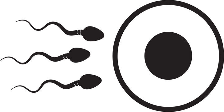Scientific depicting the process of fertilization with sperm cells approaching an egg, isolated on a white background, for also transparent background