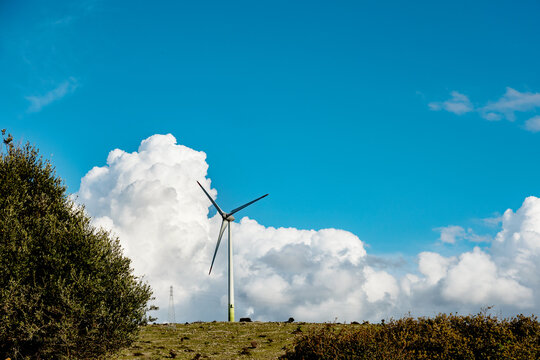 Wind turbine on spring grass under blue sky and cloud