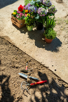 Spring garden planting with hand tools and potted flowers